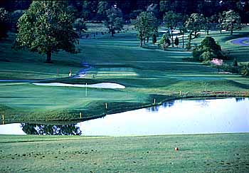 Hole #4 - Birdswood Golf Course