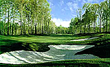 Woodlands Golf Course Design - Hole #15
